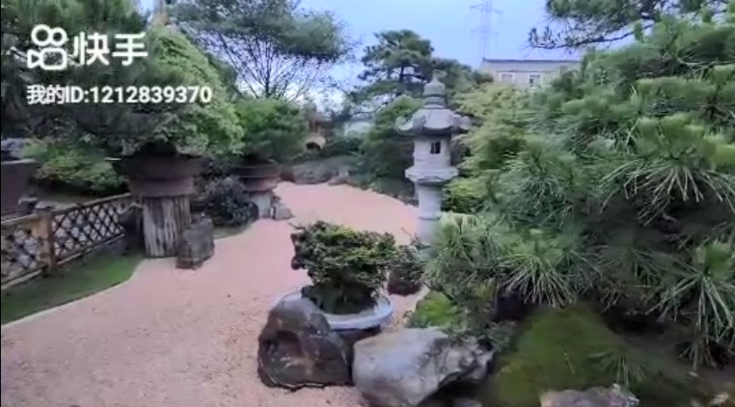 2021.7.28视频1